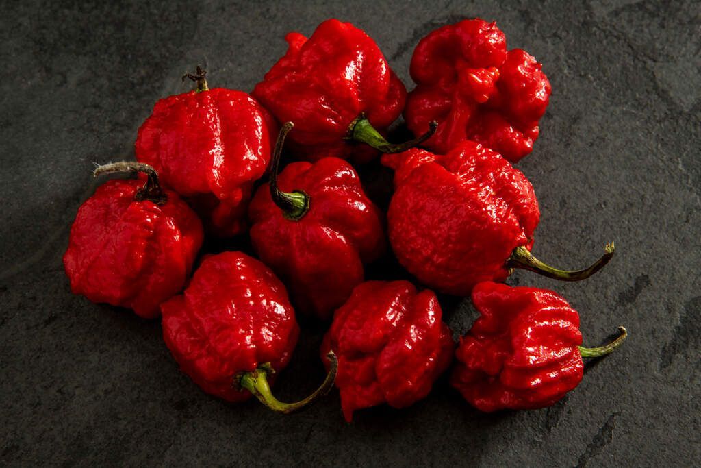 Pimenta Red Habanero