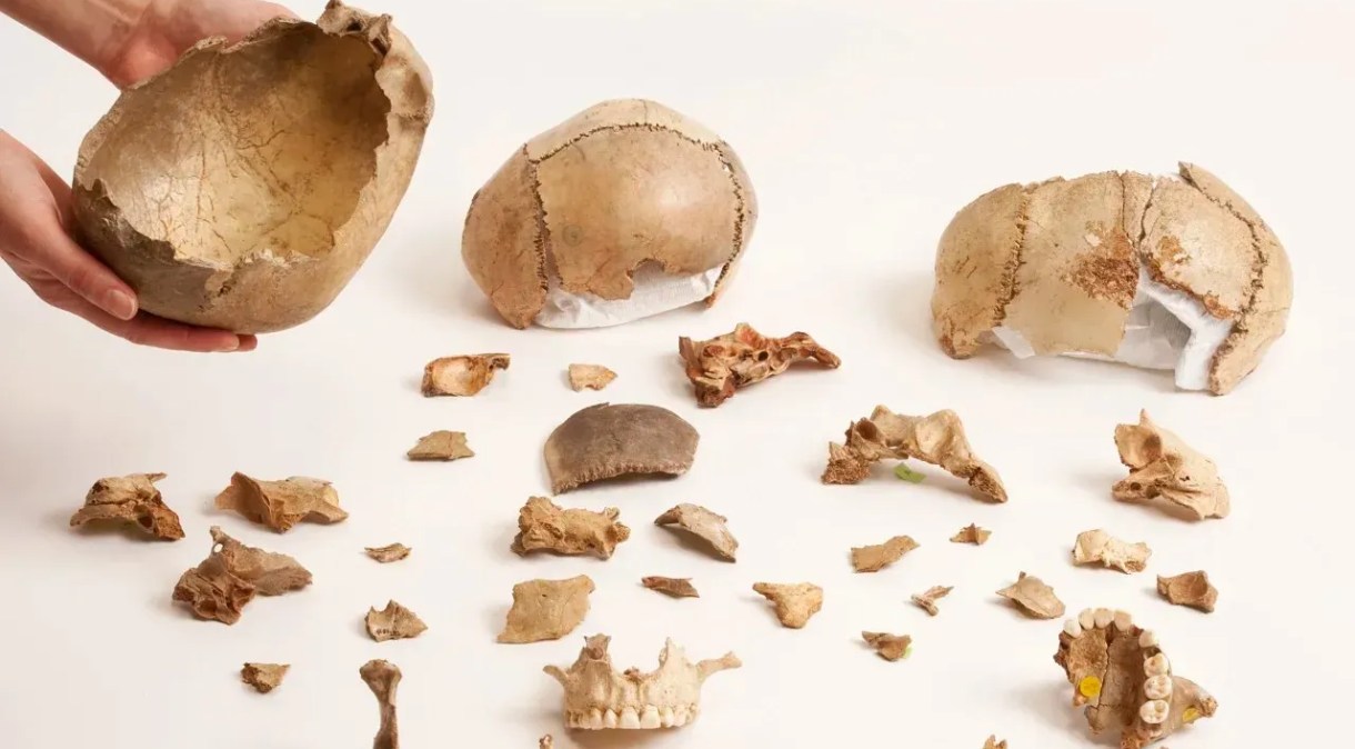 Os pesquisadores já haviam encontrado taças de crânio no local da Caverna de Gough, na Inglaterra
