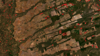 Bioma brasileiro perdeu mais de 83 mil hectares apenas no mês; acumulado anual ultrapassa 742 mil hectares