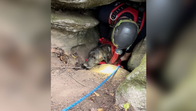 O cachorro passou três dias preso no sistema de cavernas, antes que a equipe de resgate pudesse salvá-lo