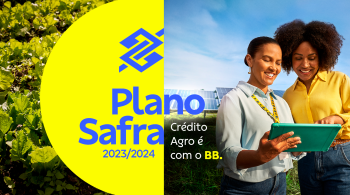 Comunicação via WhatsApp, plataforma voltada ao ecossistema agro e app para negociação e contratação do Plano Safra 2023/2024, o maior da história, são algumas das soluções disponibilizadas pelo Banco do Brasil.