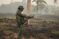 Emissão de gases por incêndios é recorde no Mato Grosso do Sul e no Amazonas