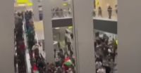 Grupo de manifestantes pró-Palestina invade aeroporto na Rússia e ameaça israelenses