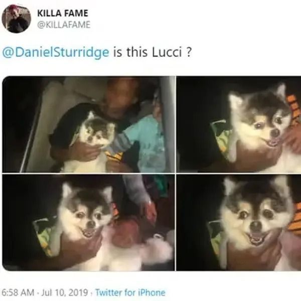 Post do rapper Killa Fame mostrando que encontrou o cachorro de Daniel Sturridge