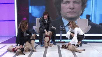 Economista pagou milhares dólares para clonar o seu cão Conan, que adotou em 2004 e morreu em 2017