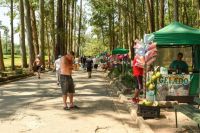 Onda de calor deve perder força só na próxima semana, diz meteorologista