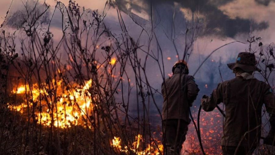 Bombeiros do Mato Grosso do Sul combatem incêndios no Pantanal