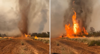 Tornado de fogo destrói fazenda na Austrália em meio a queimadas; assista