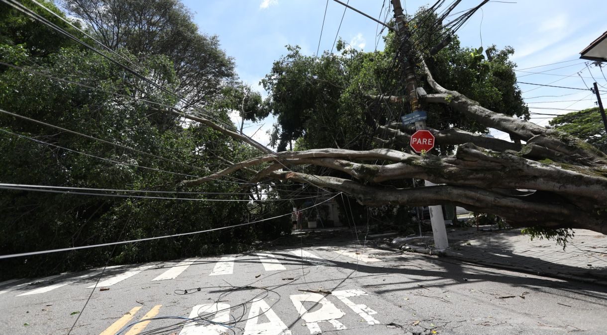Árvores e fios caídos na região do Brooklin após uma tempestade, na zona sul de São Paulo