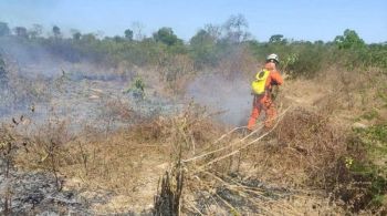 Até a tarde de terça-feira (21), 500 hectares de mata já haviam sido consumidos pelo fogo