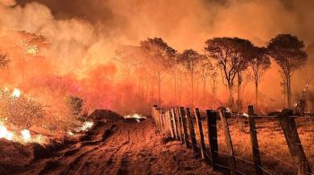 Número de focos de incêndio no estado neste mês é maior do que o registrado durante todo o ano na Guiana Francesa e no Uruguai