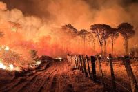 Incêndios: Mato Grosso do Sul registrou 1.072 queimadas em novembro