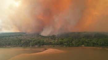 Em todo o estado do Mato Grosso, foram registrados 2.663 focos de queimadas entre os dias 1º e 15 de novembro