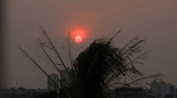 Somente nos 15 primeiros dias deste mês, os estados do Mato Grosso e Mato Grosso do Sul já registraram quase 4.000 focos de incêndio