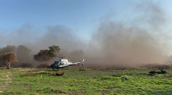 Durante os primeiros 20 dias de novembro, o Mato Grosso e o Mato Grosso do Sul registraram, juntos, 3.957 incêndios florestais