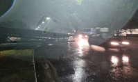 Chuva intensa no RJ após calorão derruba árvores, quebra estrutura e causa alagamentos