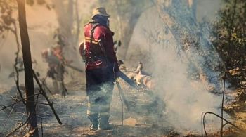 Bombeiros relataram aumento de 98,5% nos focos de incêndio no Pantanal em 2023