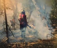 Áreas do Brasil podem ficar inabitáveis em 50 anos, segundo estudo da Nasa