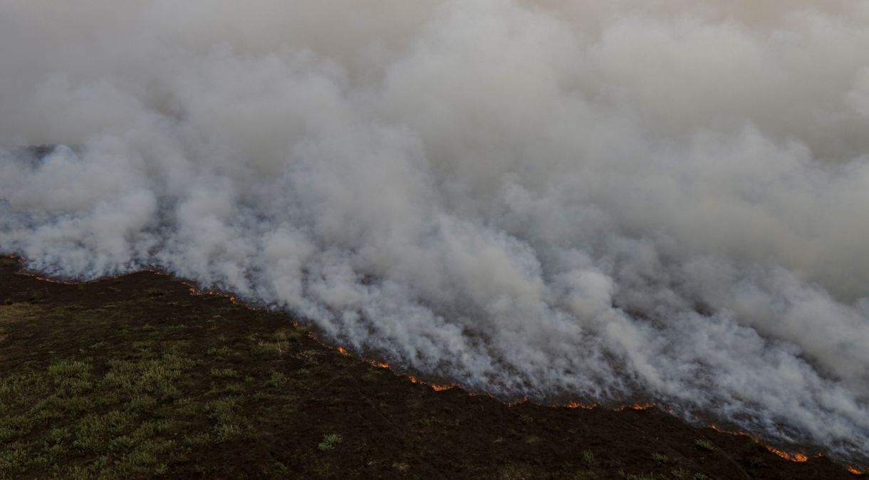 Incêndio florestal que atinge o Pantanal