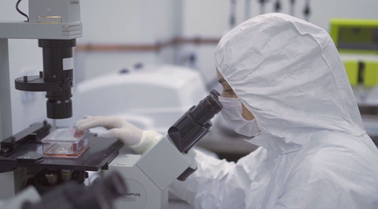 Pesquisadores querem testar toxicidade dos polímeros às células humanas