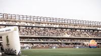 Santos x Paysandu: horário e onde assistir ao jogo da Série B do Brasileiro