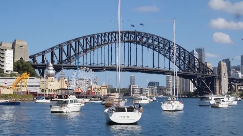 Tubarão atacou mulher que nadava no porto de Sydney, na Austrália.