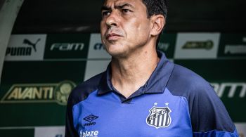 Treinador do Peixe questionou utilização do gramado sintético na casa do Palmeiras