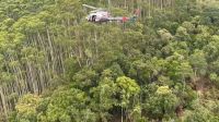 Vídeo: policiais fazem rapel para acessar área onde helicóptero caiu; veja