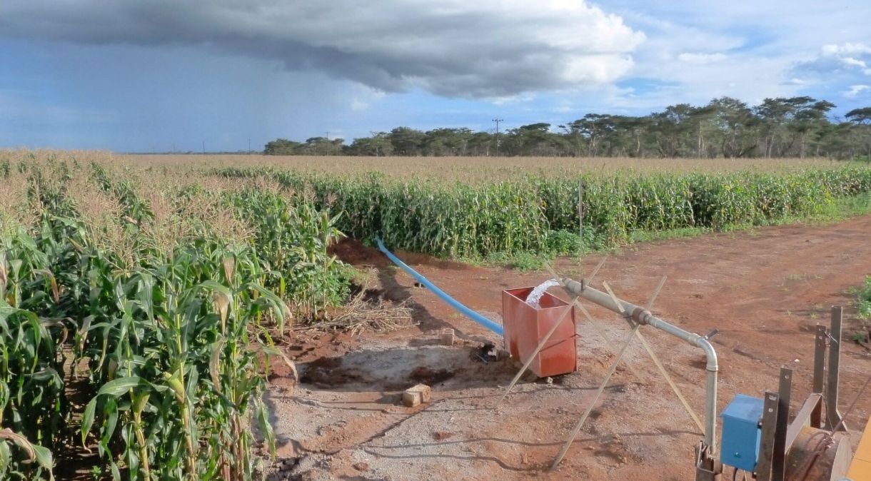 Irrigação de milho alimentada por águas subterrâneas em Kabwe, Zâmbia.