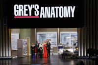 Emmy 2023: "Grey's Anatomy" é homenageada e elenco se reúne no palco