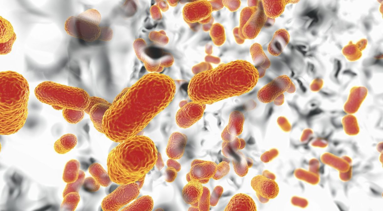 Acinetobacter baumannii é uma bactéria resistente a muitos antibióticos