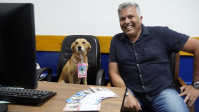 Reforço no time: cachorros adotados viram "empregados" na Prefeitura do Guarujá