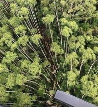 Especialistas: destroços de helicóptero encontrado são ponto de partida para desvendar acidente