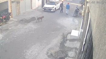 Câmera de segurança do bairro flagrou o momento do crime que aconteceu na manhã desta quarta-feira (24)