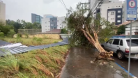 Chuvas no RS: quase 14 mil foram afetados pelo temporal no estado