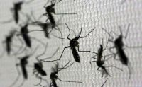 Aquecimento global e El Niño impulsionam casos de dengue e Brasil enfrenta alta da doença