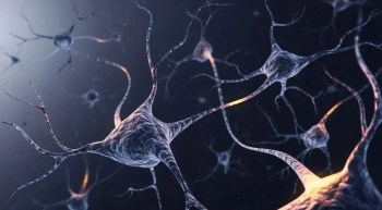Pesquisadores analisam o papel do RNA na morte de células cerebrais