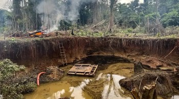 Estudo mostra que situação mais grave foi na Terra Indígena Kayapó (PA), que perdeu mais de 1.000 hectares por causa da atividade 