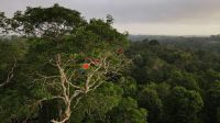 Na ONU, Brasil lança ferramenta contra mudanças climáticas que será adotada por 70 países