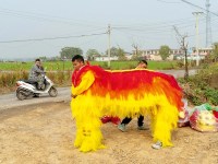 Tradição em perigo: as celebrações do Ano Novo Lunar na China rural