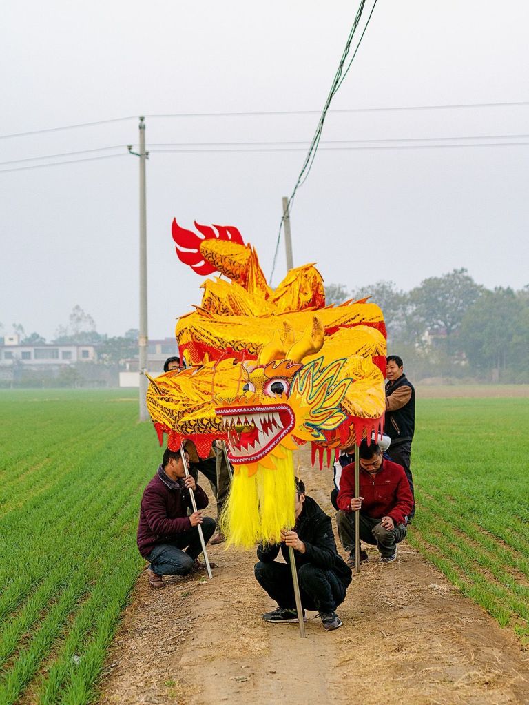 Grupo posa com marionete de dragão dourado em meio à plantação