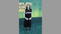 People´s Choice Awards 2024: veja os looks dos famosos no tapete vermelho