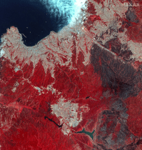 Número de mortos em incêndios florestais no Chile sobe para 131