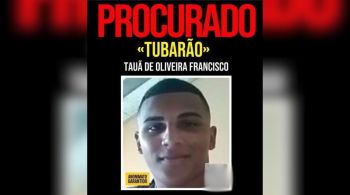 Segundo as investigações, Tubarão era rival do miliciano Luís Antônio da Silva Braga, o Zinho, preso em dezembro de 2023