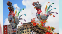 Desfile do Bloco da Madrugada ocorre neste sábado no Recife