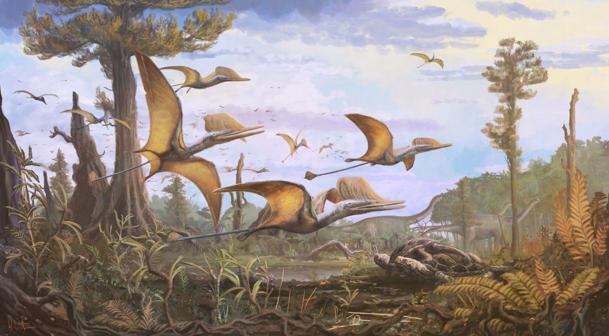 Representação artística do Ceoptera evansae, nova espécie de pterossauro descoberta na Escócia