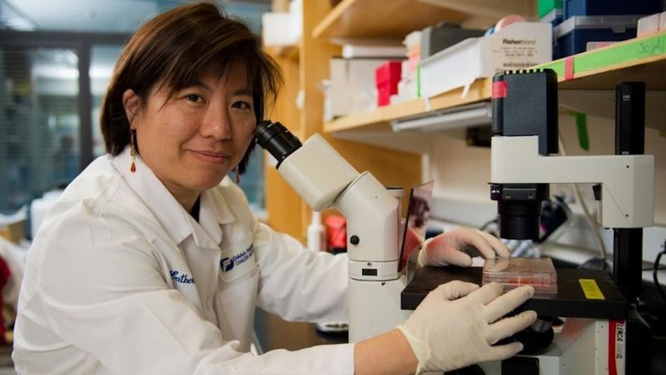 Catherine Wu, oncologista do Dana-Farber Cancer Institute, recebeu o Prêmio Sjöberg em homenagem às suas "contribuições decisivas" para a pesquisa do câncer.