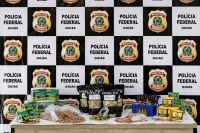 PF investiga venda de 12 mil munições dos EUA ao Brasil ilegalmente