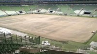 Reforma no gramado do Allianz Parque avança e pode ser finalizada nos próximos dias