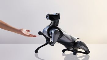 Além de brincar, o robô em formato de cachorro também foi criado para auxiliar na integração de uma casa inteligente, podendo executar certos comandos